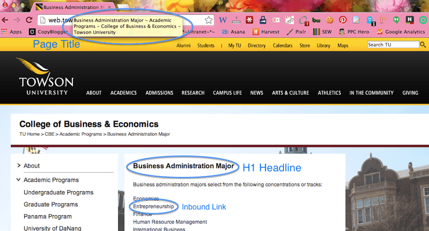 School website with some good SEO.