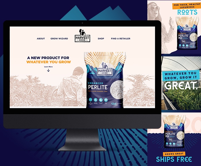 Rebranding a B2C product for a hot new market